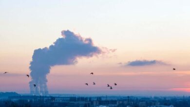 Air pollution raises our risk of a stroke and its later complications