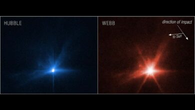 Hubble and JWST both saw the aftermath of NASA's DART asteroid mission