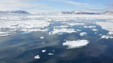 Western Arctic Ocean is acidifying four times faster than other oceans